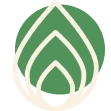 Solstice Collective logo featuring concentric green leaf shapes
