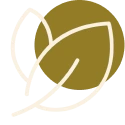 Teen and Adolescent Issues icon
