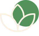 Life Transitions icon
