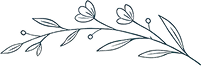 Botanical leaf line illustration
