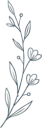 Botanical leaf line illustration