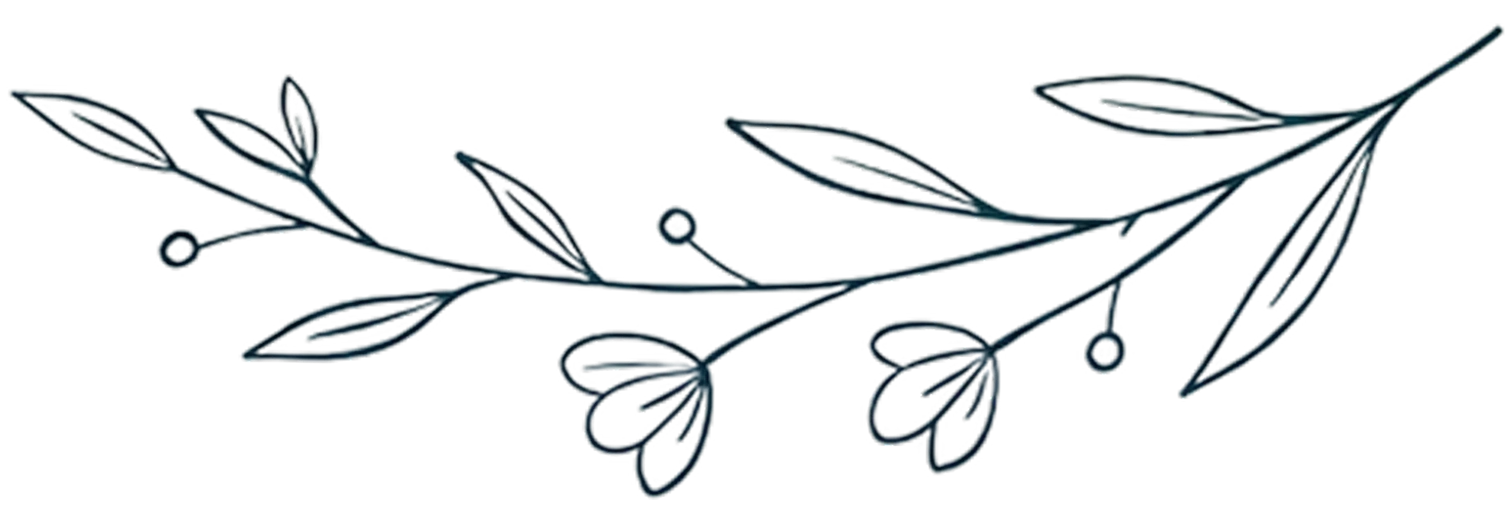 Botanical leaf line illustration
