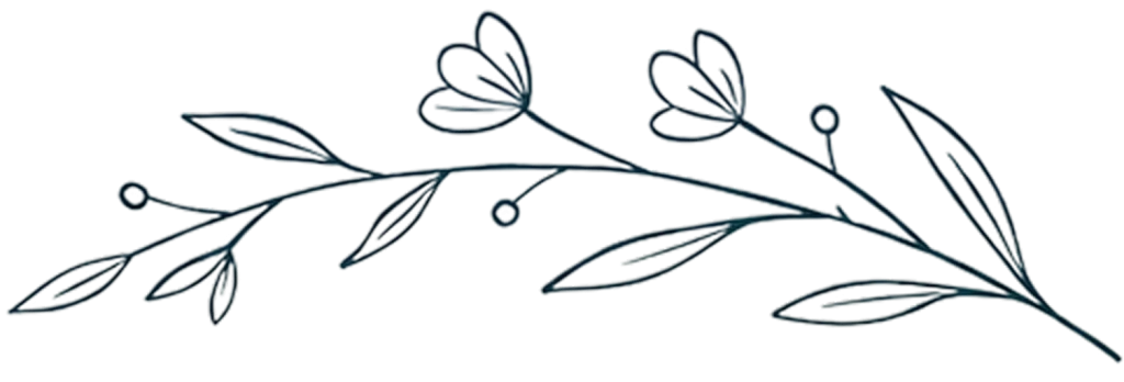Botanical leaf illustration